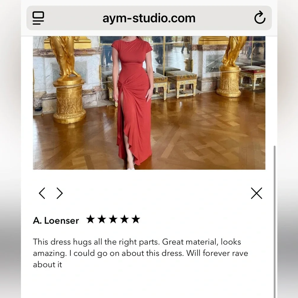 aym nwt Venus dress in natural - Picture 12 of 12